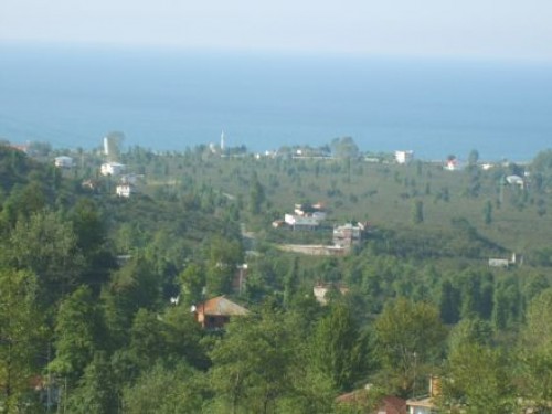 tireboluduzkoy duzkoytirebolureferandum