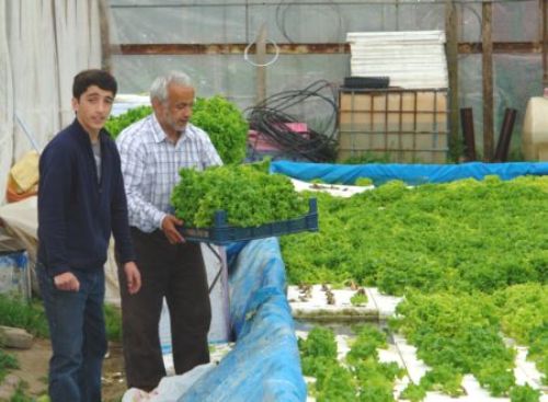 ahmetayvazmarul gazeteciahmetayvaz