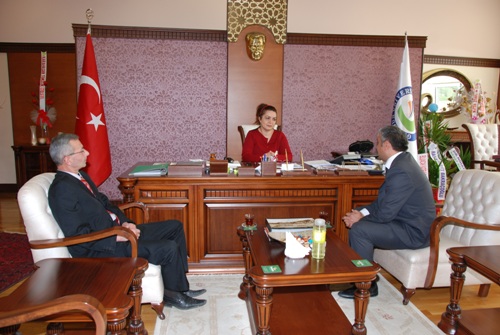 giresununiversitesi aygunattarethemsezgin