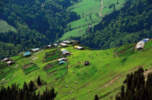 yagliderecikrikkapisenligi