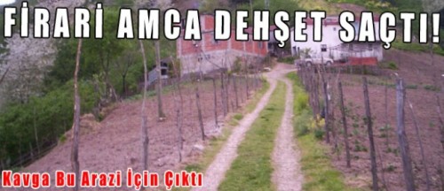 espiyeamcadehseti giresunamcadehseti
