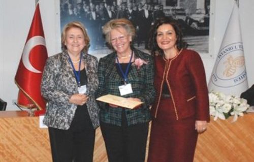 giresununiversitesiodul