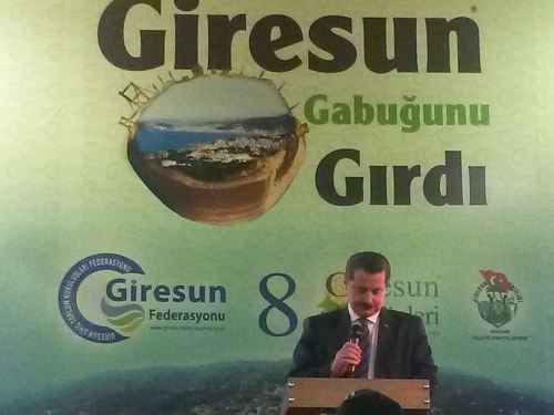 farukcelikgiresunfeshane