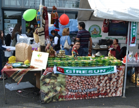 kulturuyumdernegifinidik