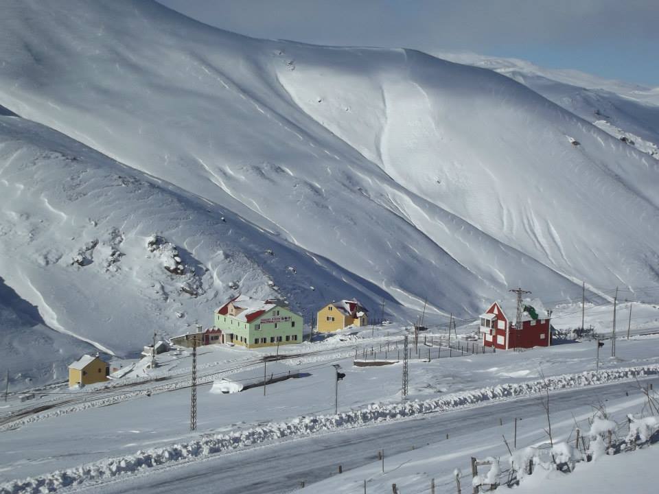 egribelhaberigiresun