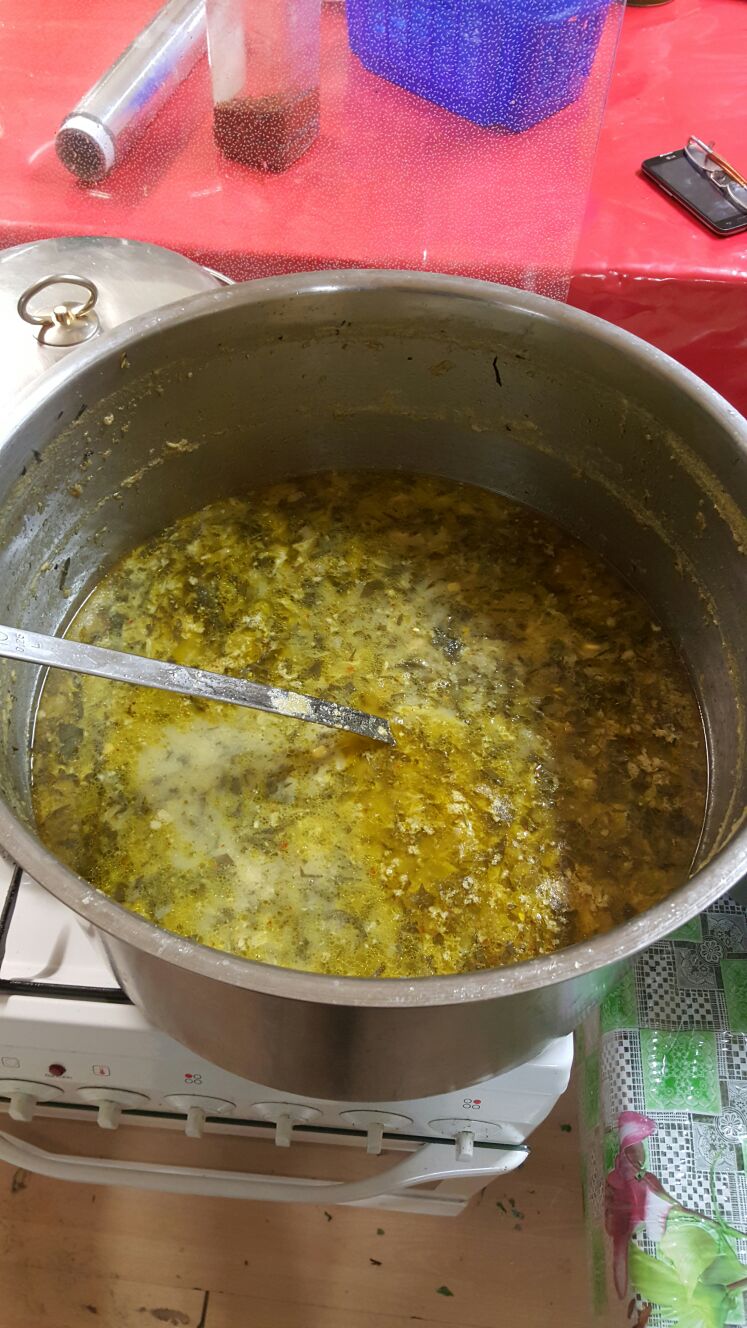 pancarcorbasiavusturya