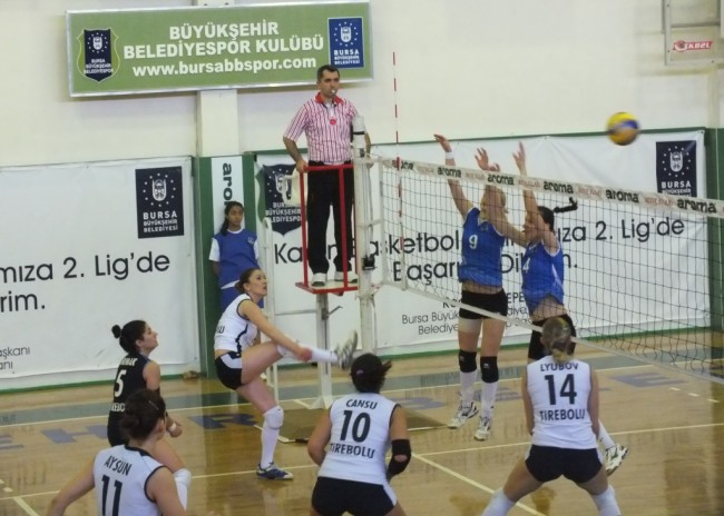 bursanilufertirebolumaci