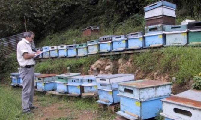 giresunlugezginaricilar