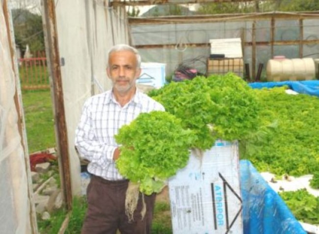 ahmetayvazgazetecisudamarul