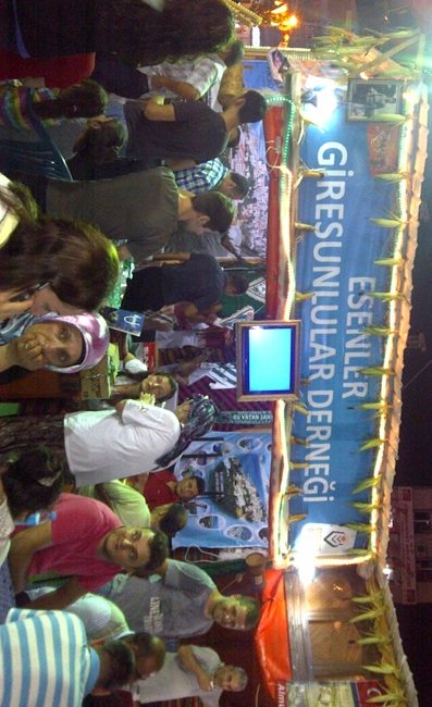 nazmiguleresenlergiresunstandi