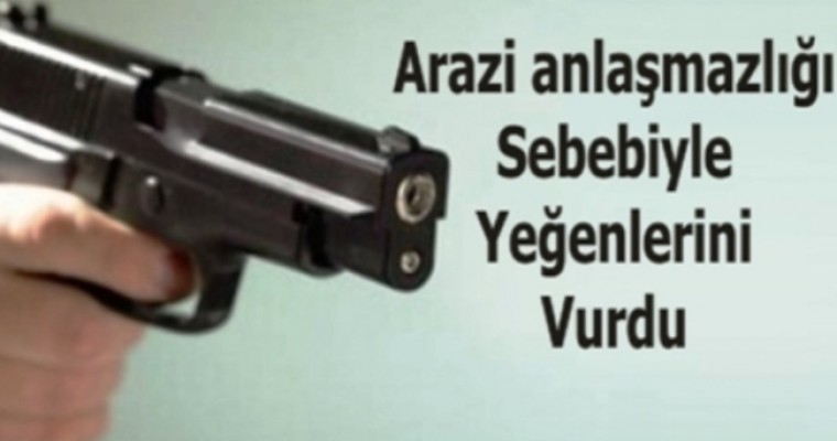 yegenkatiliamca