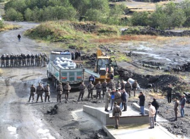 cavuslubledesigorele